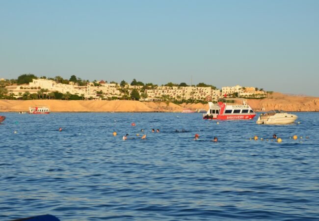 thumbnail-image